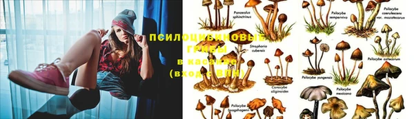 экстази Алексин