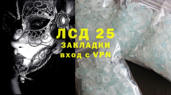 хмурый Осинники