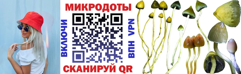 продажа наркотиков  Ардатов  Псилоцибиновые грибы Magic Shrooms 